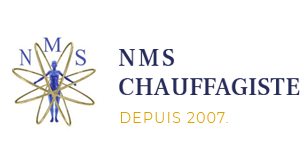 NMS MULTISERVICES NOISY LE GRAND